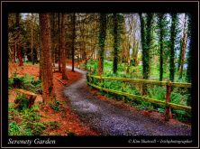 serenety garden.jpg